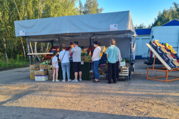 В Колодищах на ул. Энтузиастов открылся павильон с овощами и фруктами
