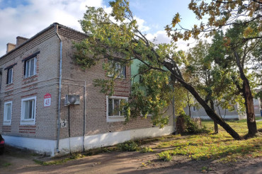 Из-за ветра дерево упало на 2-этажный квартирный дом в Колодищах