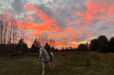 Смотрите, какой яркий закат был в Колодищах 6 ноября