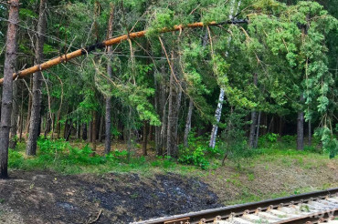 В Колодищах на высоковольтные провода над железной дорогой упало дерево