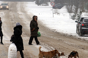 Репортаж «Комсомолки» о Колодищах: пешеходных дорожек и переходов нет, освещение местами