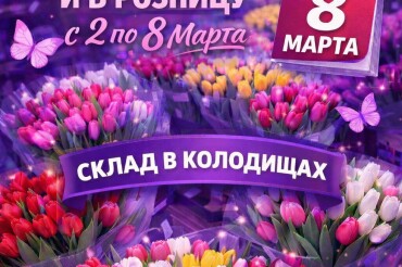Со склада в Колодищах продают тюльпаны оптом и в розницу. Цены от 2,5 рублей