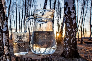 В Колодищах в ближайшие выходные будут продавать березовый сок от лесхоза