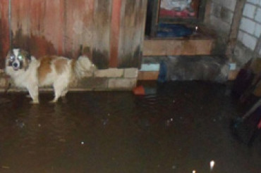 Жители: нас затопило, во дворе воды по колено, течет под фундамент, дома воняет канализацией 