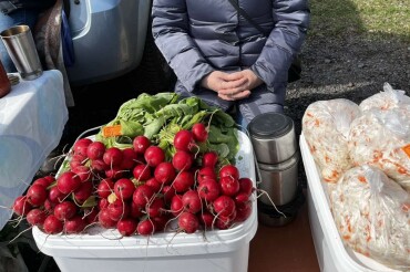 Фото: что продавали на ярмарке в Колодищах 18 апреля
