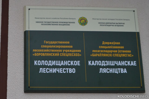 Колодищанское лесничество Боровлянский спецлесхоз фото 1