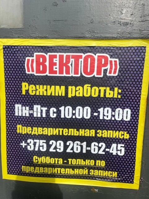 Вектор фото 2