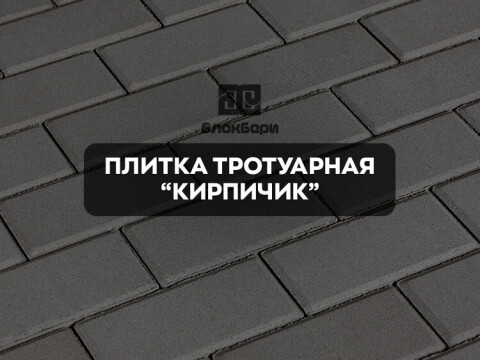 Плитка тротуарная: Кирпичик, Черепашка, Тактильная  фото 1