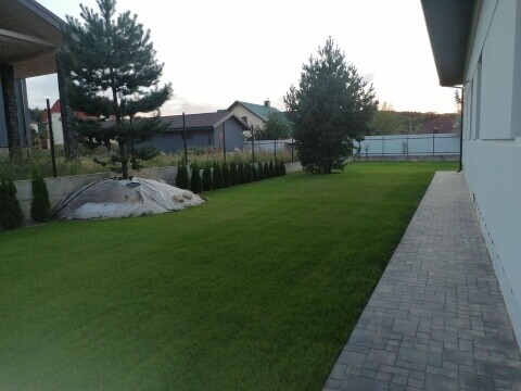 Благоустройство и озеленение территории Вашего участка фото 1