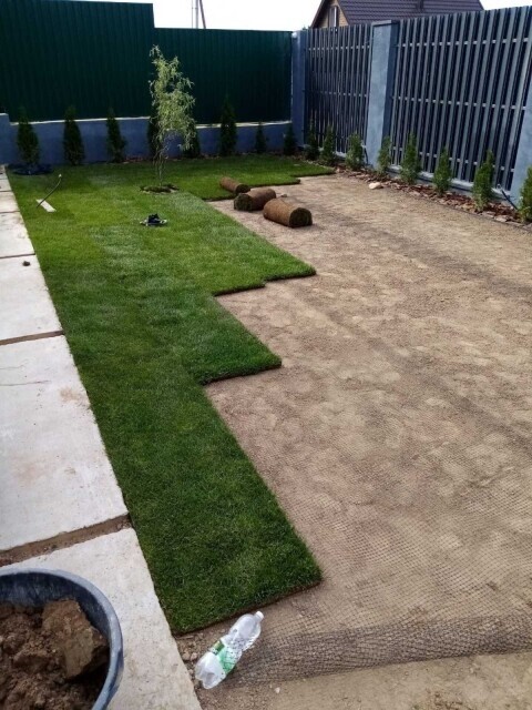 Благоустройство и озеленение территории Вашего участка фото 3