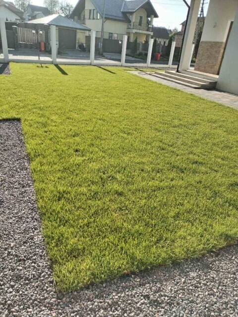 Благоустройство и озеленение территории Вашего участка фото 2