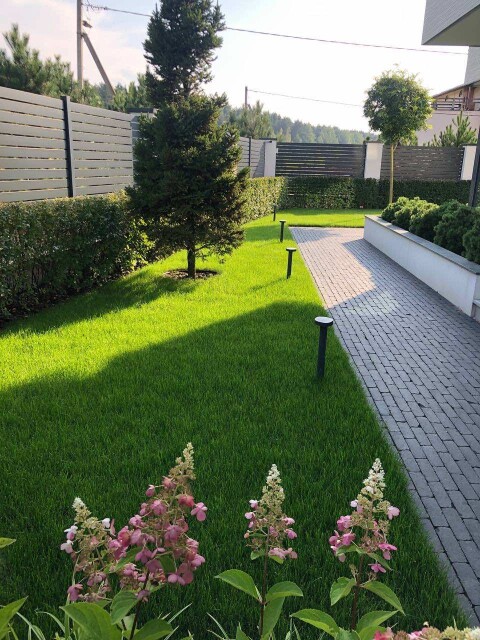 Озеленение и благоустройство участка фото 3