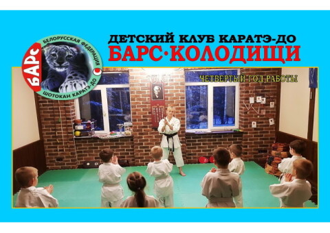 Шотокан каратэ-до в Колодищах фото 2