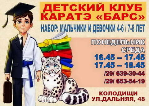 Клуб Барс: шотокан каратэ-до в Колодищах фото 1