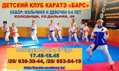 Шотокан каратэ-до в Колодищах фото 1
