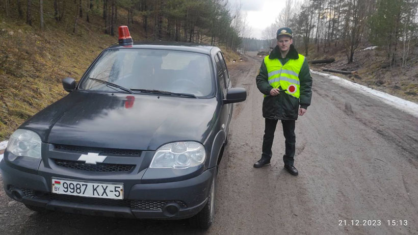 В Минском районе усилили охрану леса от незаконной вырубки елей и сосен