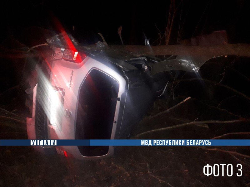 В Колодищах водитель Nissan пытался скрыться от милиции, но врезался в дерево и погиб