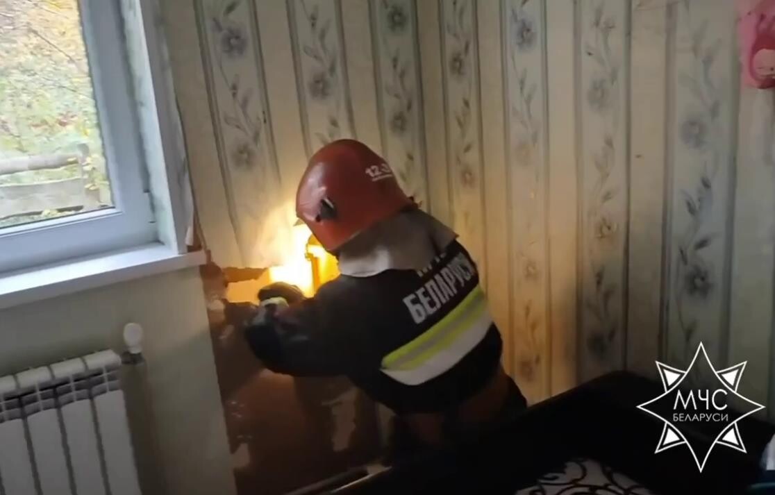 В Колодищах работники МЧС достали из стены застрявшего попугая