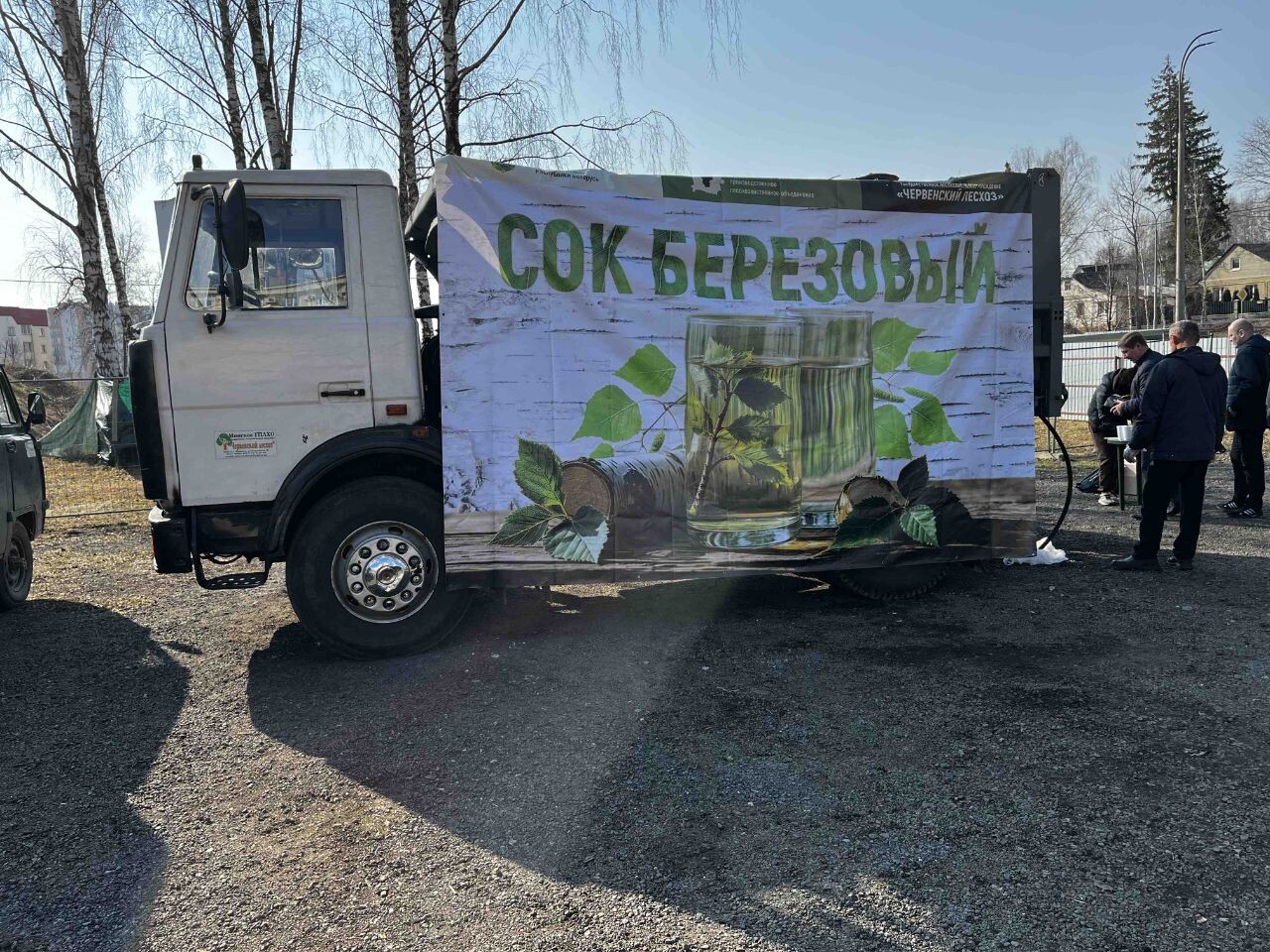 В Колодищах 29 марта Червенский лесхоз будет продавать берёзовый сок