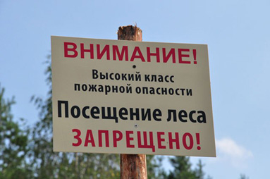 В районе Колодищ запрещено посещать леса. С 16 июня на территории 90 районов Беларуси леса закрыты для посещения                