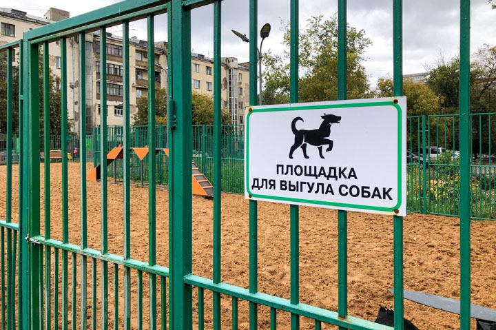 Облисполком поручил рассмотреть вопрос организации площадок для выгула собак в Колодищах