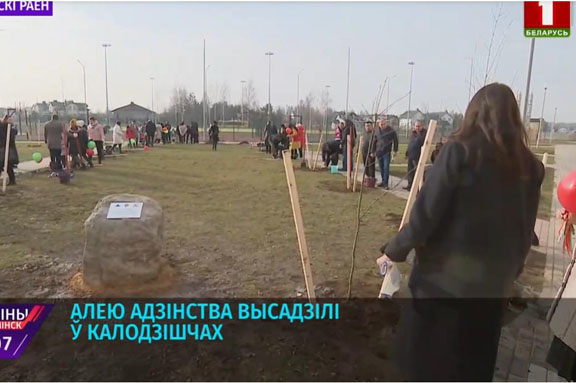 На территории школы в Колодищах высадили зеленую аллею из 50 деревьев