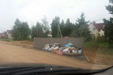 В сельсовете пояснили по поводу контейнерных площадок на Полигоне