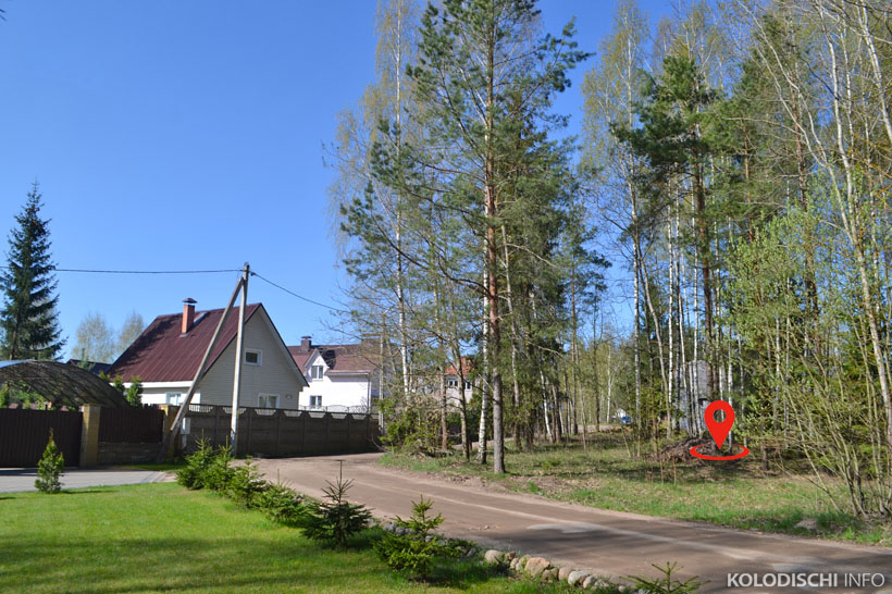 Участок 10 соток в Колодищах продан за $72 тысячи. Итоги аукциона в Минском районе