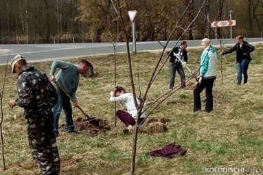 Колодищанский сельисполком провел субботник в Юхновке