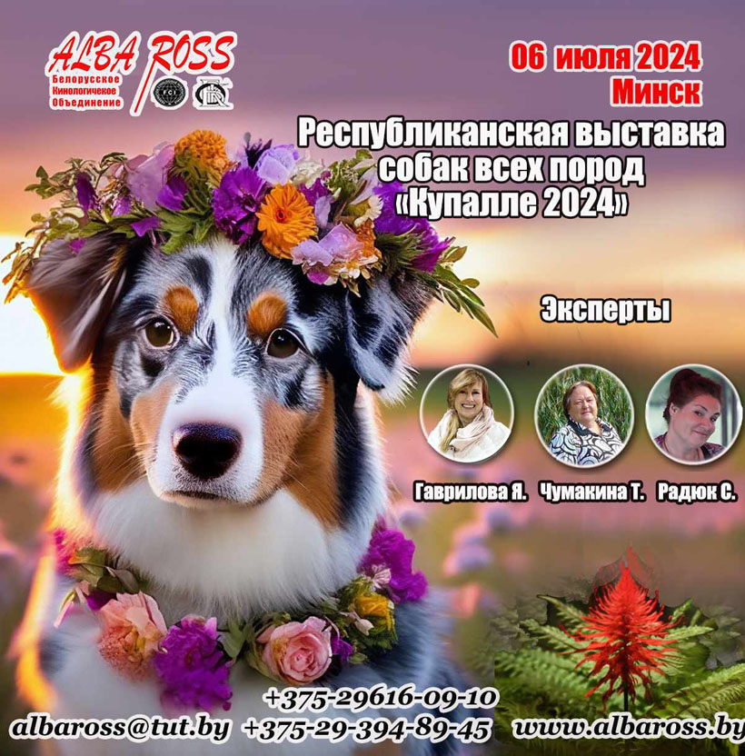 В Колодищах 6 июля пройдет Республиканская выставка собак всех пород