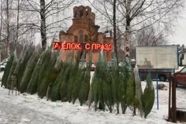 На въезде в Колодищи-2 открылся ёлочный базар