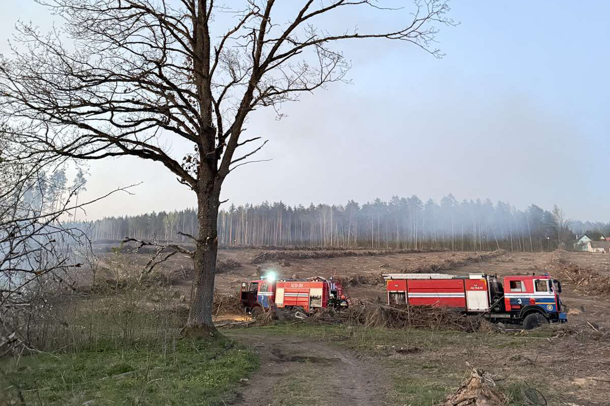 В Колодищах сгорело заброшенное строение возле ЖД путей