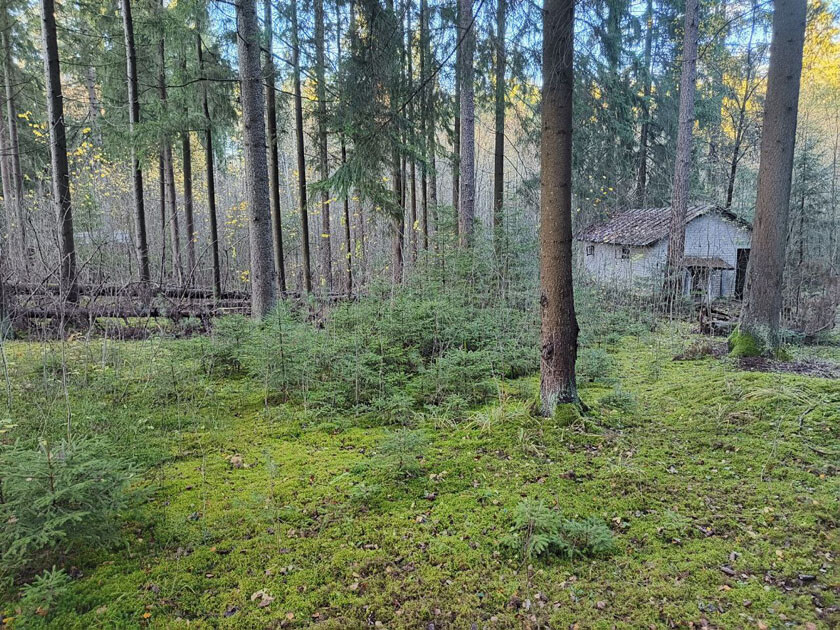 На аукцион выставили участок под гостинично-ресторанный комплекс в Юхновке
