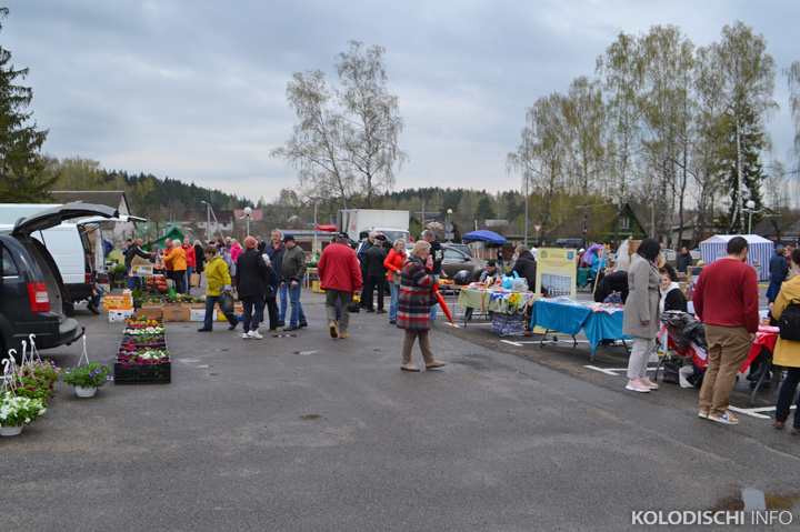 В Колодищах прошел фестиваль-ярмарка продукции фермеров и ремесленников. Фото