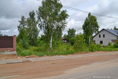 В Колодищах с аукциона продадут участки по центральной улице на Полигоне и на ул. Беловежская
