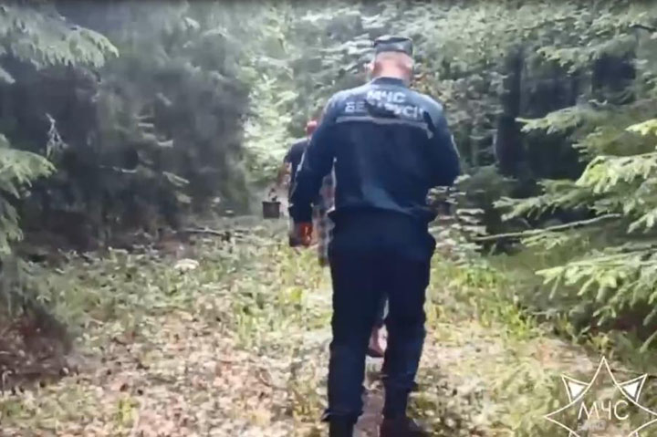 Возле Колодищ мама с сыном пошли за грибами, ребенок потерялся. К поискам привлекали МЧС