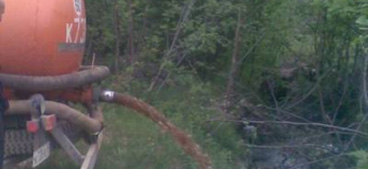В Колодищах местные жители задержали водителя ассенизатора, который сливал отходы в лес