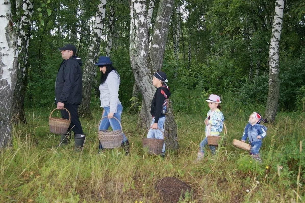 Нужно ли платить налог при продаже грибов и ягод? Разъяснение от МНС
