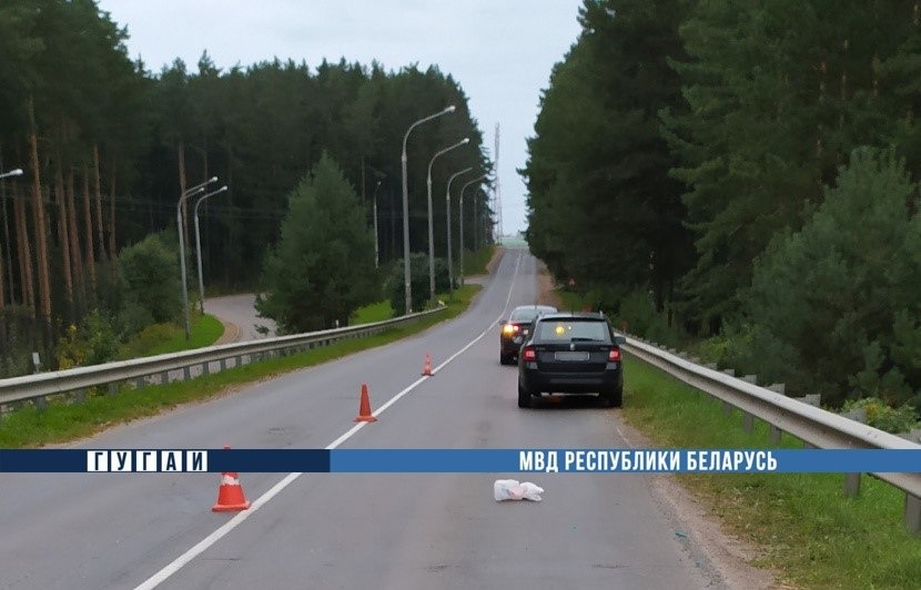 На путепроводе в Озерище автомобиль переехал лежащую на дороге женщину