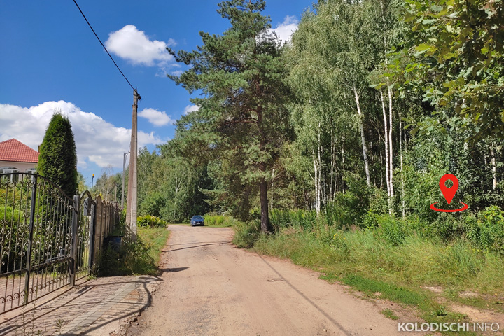 Участок в Колодищах продали за 59 тысяч долларов, в Старине - за 26. Итоги аукциона