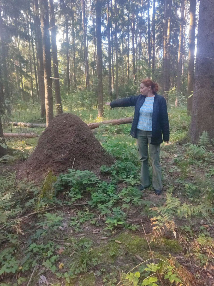 Подборка самых интересных фото от жителей Колодищ за июль-август
