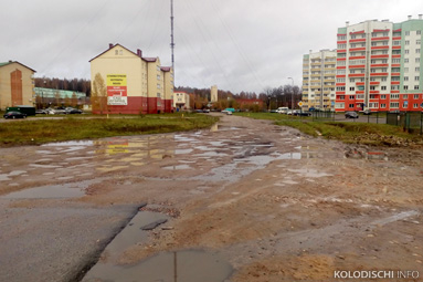 Еще несколько улиц могут дополнительно заасфальтировать в этом году в Колодищах