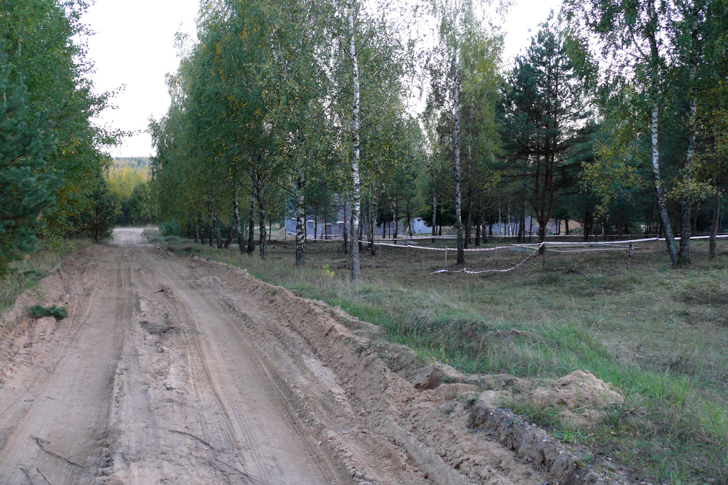 На аукцион выставлены 2 участка в 203 квартале поселка Колодищи с начальной стоимостью по $12,5 тысяч  