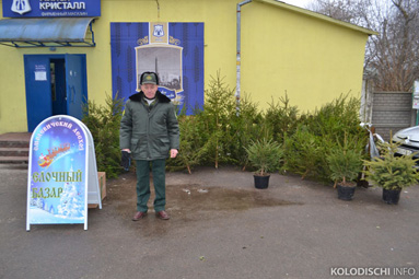 В Колодищах открылся елочный базар Смолевичского лесхоза