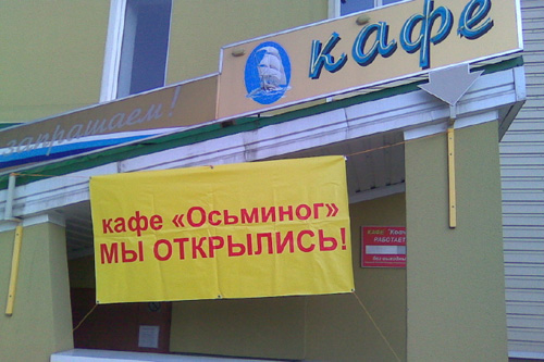 После проверки санэпидслужбы была приостановлена работа кафе &laquo;Осьминог&raquo; в Колодищах