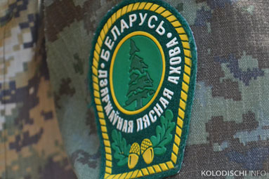 В Минском районе снят запрет на посещение лесов