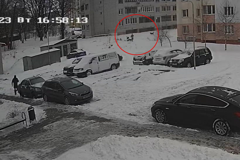 В Колодищах 11 января работала бригада по отлову собак