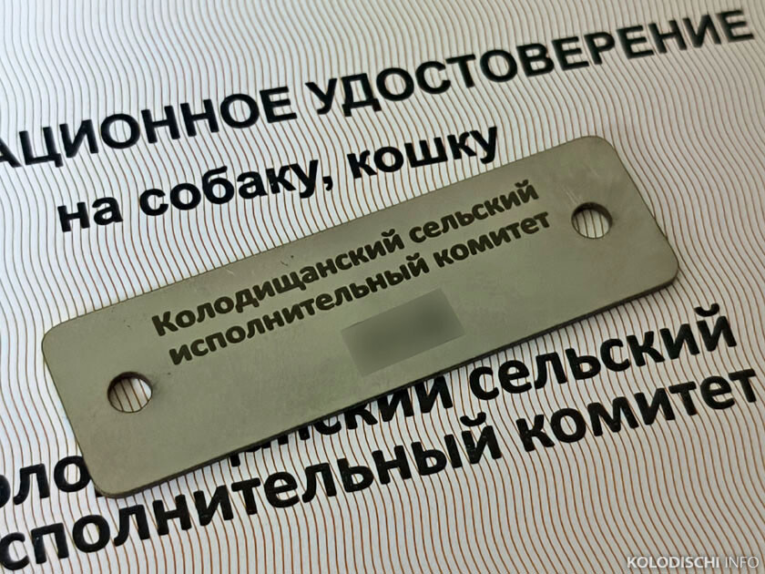 С начала года в Колодищах зарегистрировали 500 собак и кошек