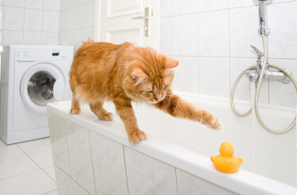 В Беларуси могут сократить сроки планового отключения горячей воды