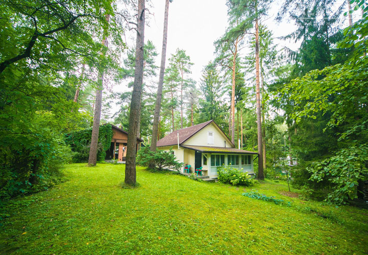 Почём продают дачи в Колодищах: ТОП-5 самых дорогих предложений